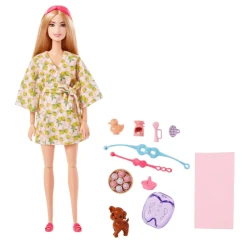 Кукла Barbie BRB WLNSS DL Spa NDV 194735108176