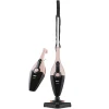 Tozsoran Fakir Lucky BL 100 Stick Vac-Sand