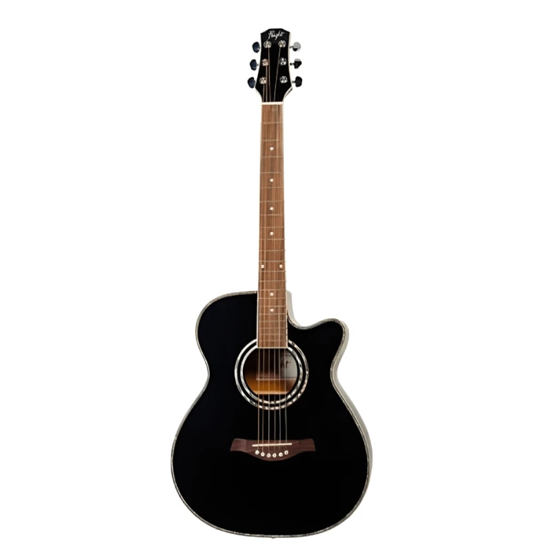 Akustik gitara Flight  F-230C BK