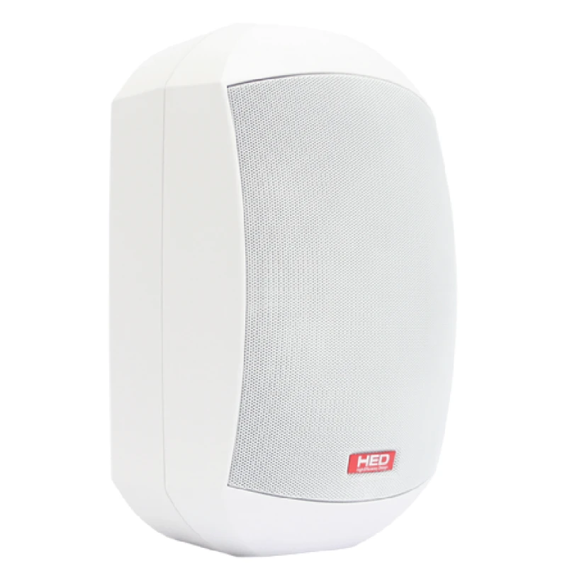Настенный динамик HED WS-602 MAS PWH (LT WTP-660W)