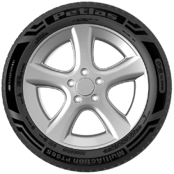 Avtomobil təkərləri Petlas Multi Action PT565 TL 82T 175/70R13 (001.PT.20530)
