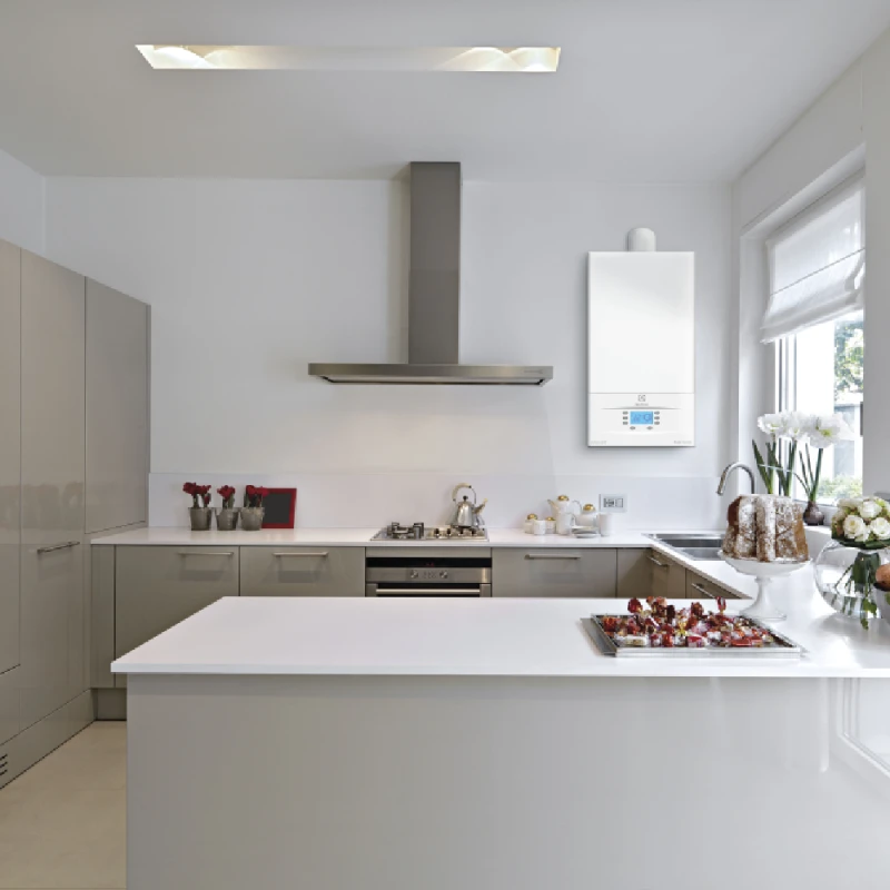 Combi Electrolux GCB 30 Basic Space Duo FI