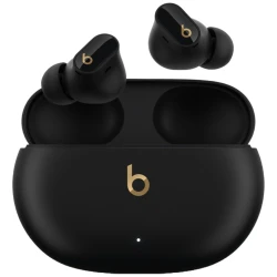 Беспроводные наушники Beats Studio Buds + Black, Gold MQLH3