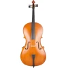 Виолончель Amati CG001-HPM Cello