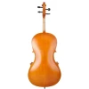 Виолончель Amati CG001-HPM Cello