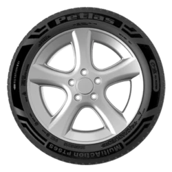Avtomobil təkərləri Petlas Multi Action PT565 REINFORCED 101W TL 225/55R17 (001.PT.24350)