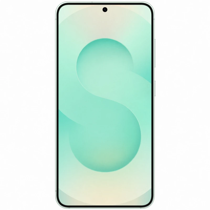 Smartfonlar Samsung Galaxy S25 (SM-S931B) 12/256 GB Mint