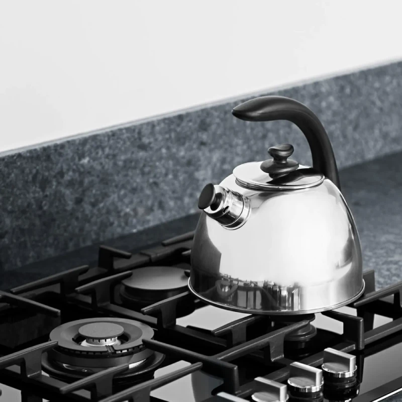 Чайник BergHOFF Lucia 2.5 L 1104175