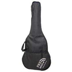 Klassik gitaralar Winzz AC851 RD
