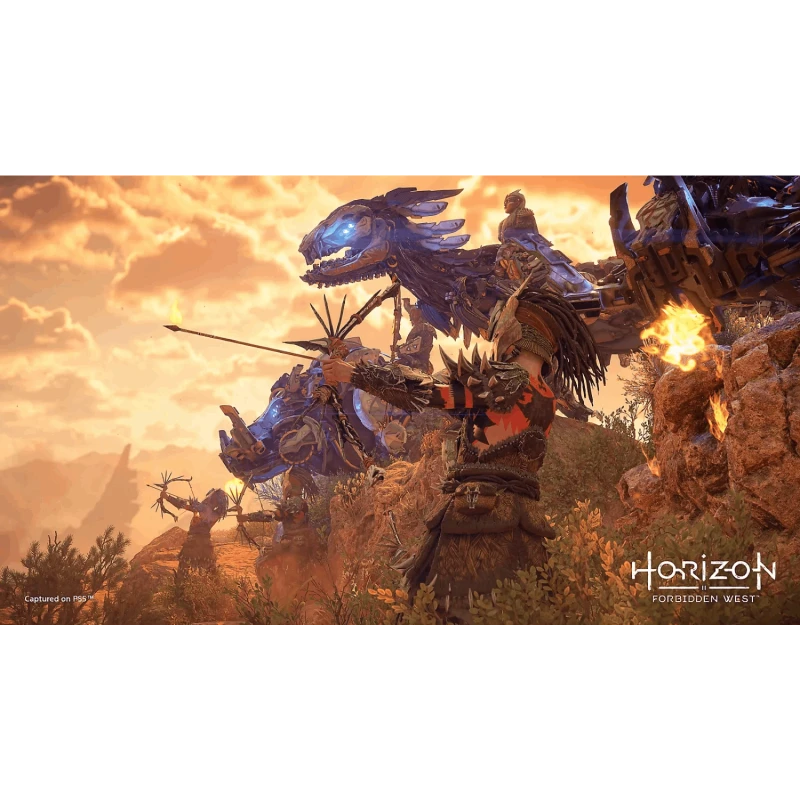 Disk РlayStation 5 (Horizon Forbidden West)