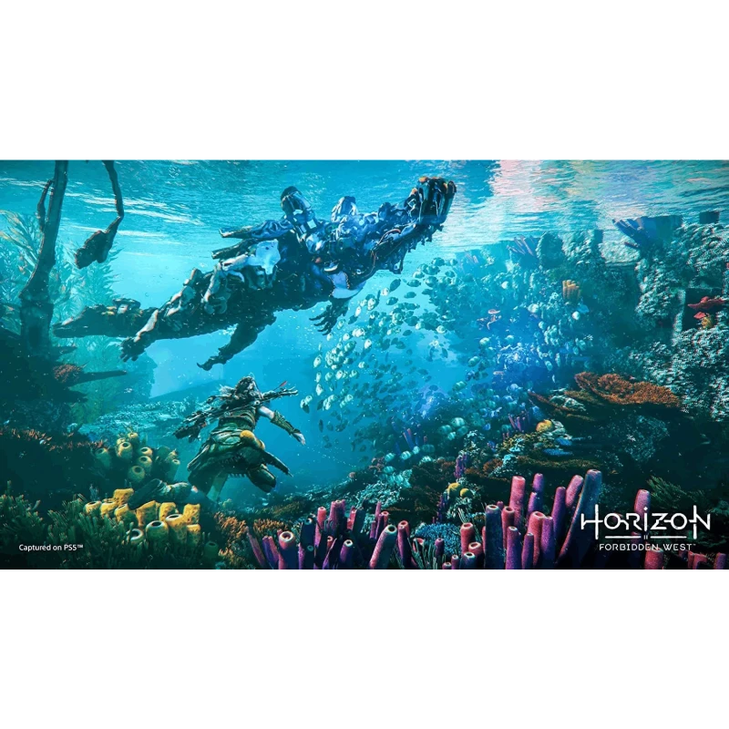 Disk РlayStation 5 (Horizon Forbidden West)