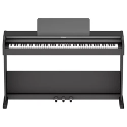 Цифровое пианино Roland RP107BKX