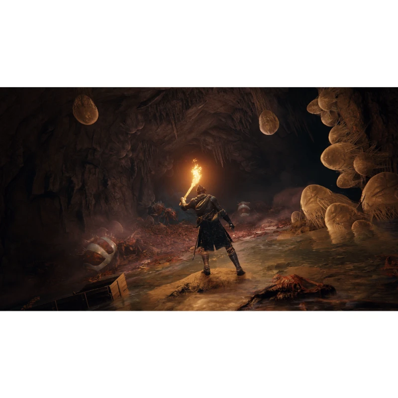 Диск PlayStation 5 Elden Ring