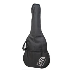 Классическая гитара Winzz AC851 BK