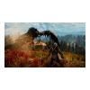 Диск Playstation 5 The Witcher 3 Wild Hunt Complete Edition