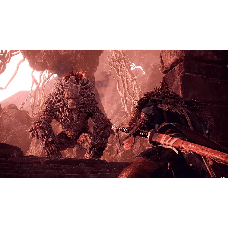 Disk PlayStation 5 (Wild Hearts)