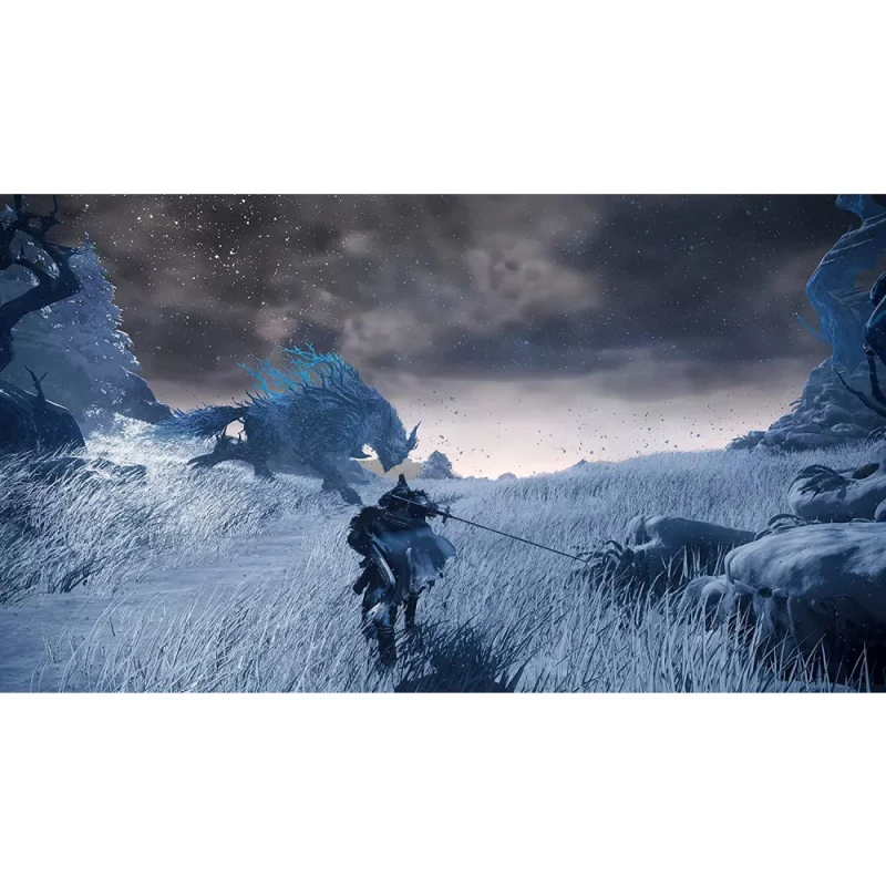 Disk PlayStation 5 (Wild Hearts)