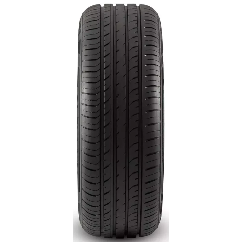 Avtomobil təkərləri Davanti DX390 99W XL 225/55R16 (001.DV.505215)