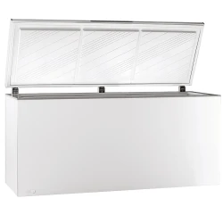 Морозильник Pozis FH 258-1