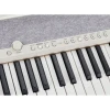 Синтезатор Casio CT-S1 WT
