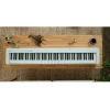Rəqəmsal pianinolar Casio CDP-S110 Ağ