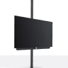 OLED Телевизор Loewe Bild I.48 DR+