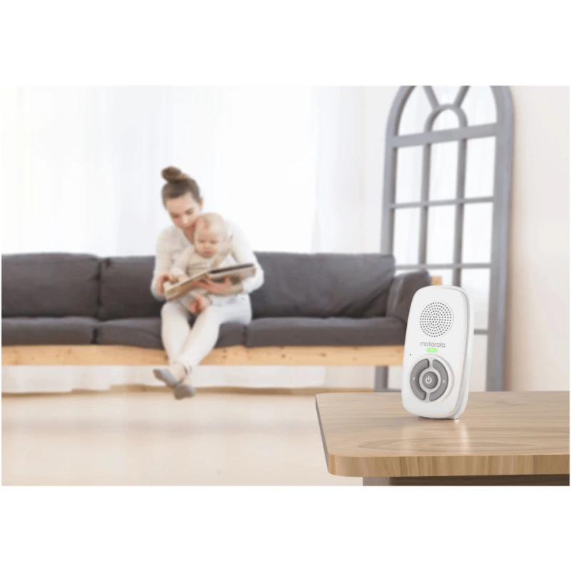 Radio dayə Motorola MBP21