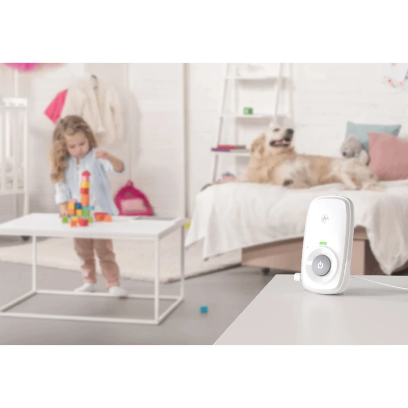 Radio dayə Motorola MBP21