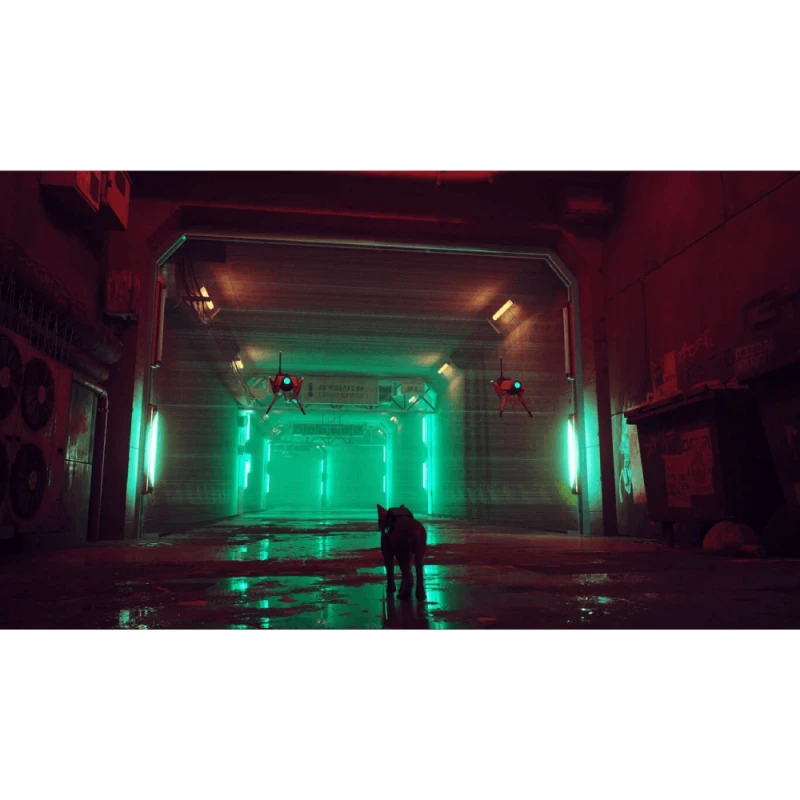 Диск Playstation 5 Stray