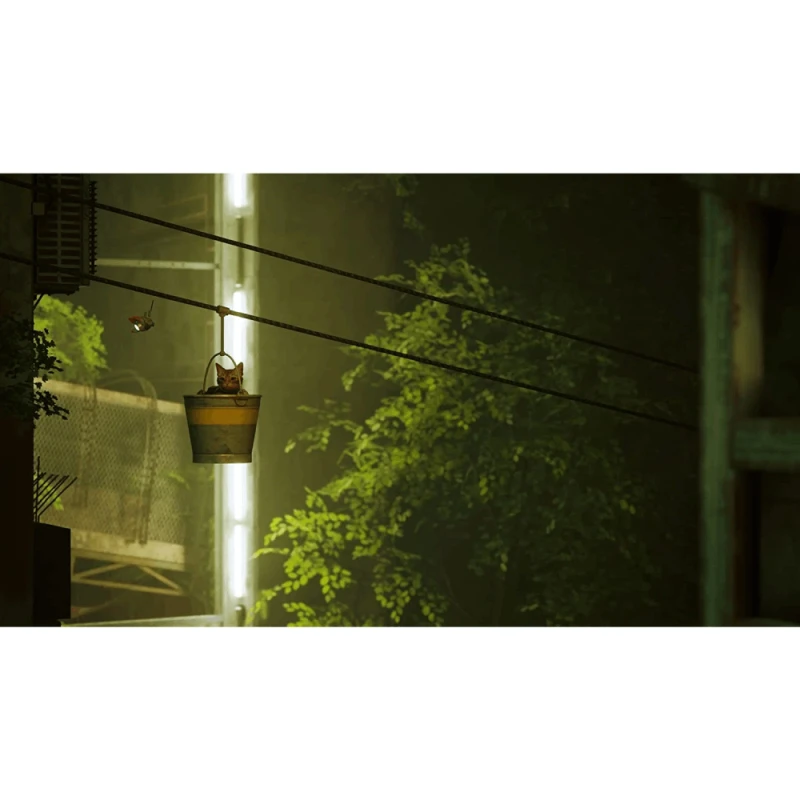 Диск Playstation 5 Stray