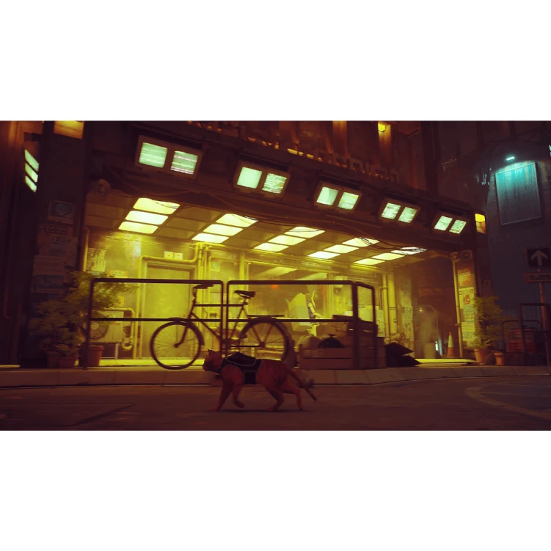 Диск Playstation 5 Stray