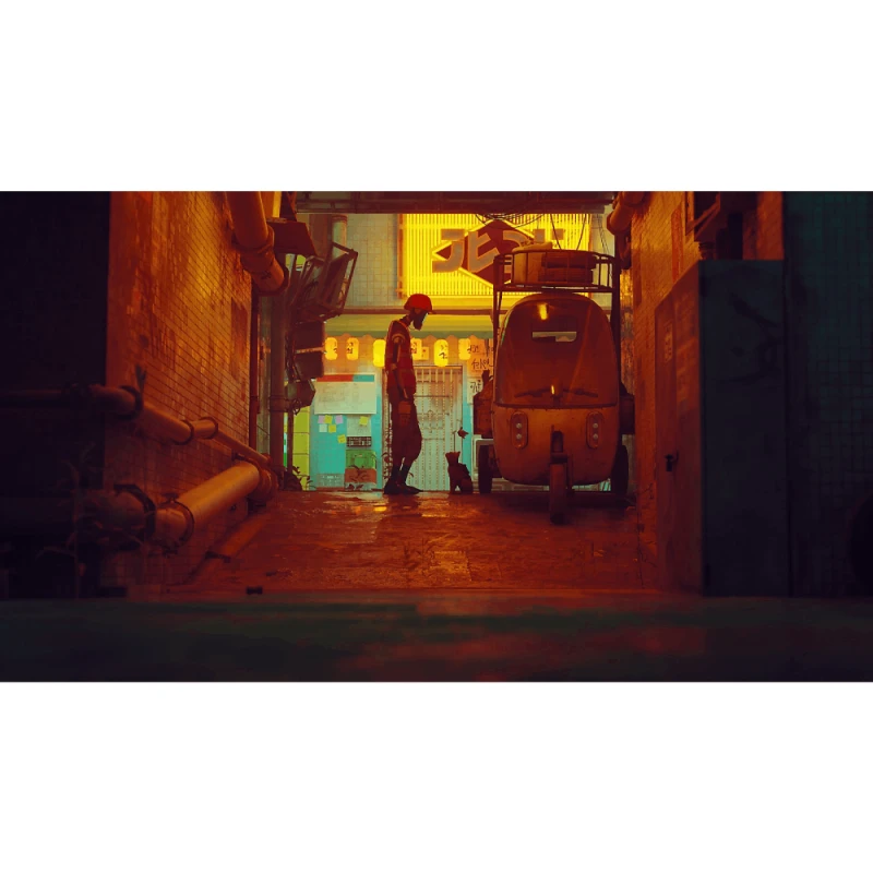 Диск Playstation 5 Stray