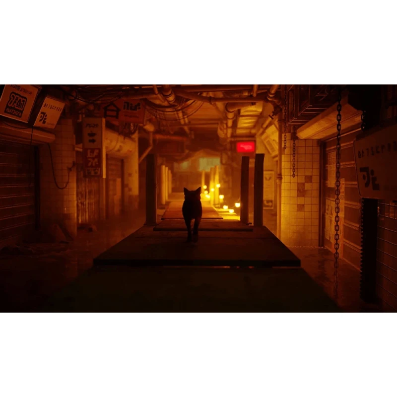 Диск Playstation 5 Stray