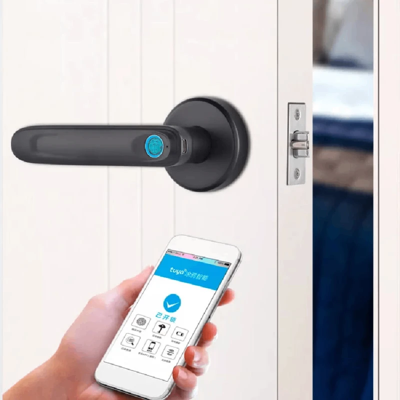 Ağıllı qapı kilidi  QL-S607