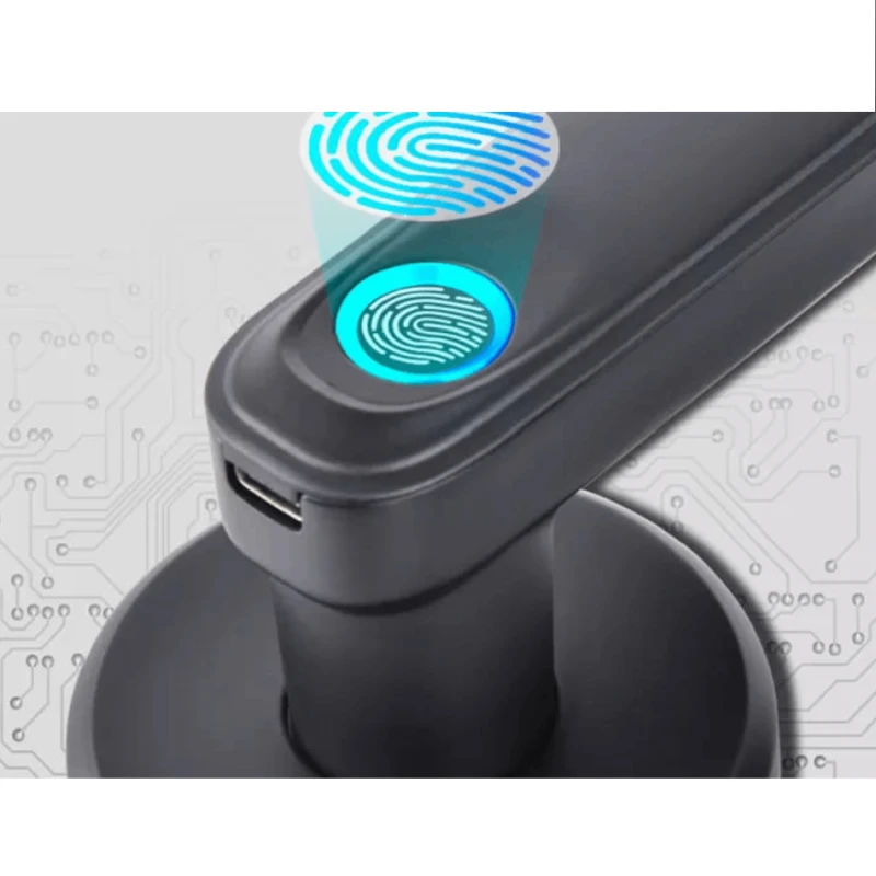 Ağıllı qapı kilidi  QL-S607