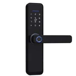 Ağıllı qapı kilidi QL-S811