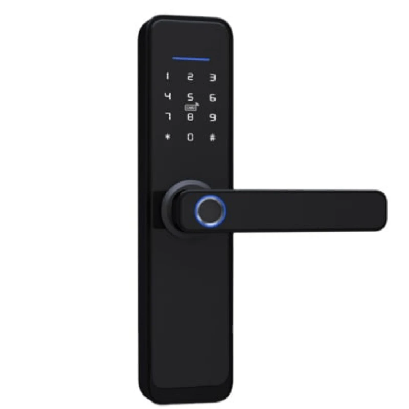 Ağıllı qapı kilidi QL-S811