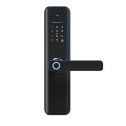 Ağıllı qapı kilidi QL-S802