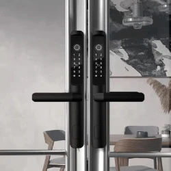 Ağıllı qapı kilidi QL-S617