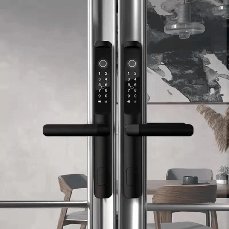 Умный дверной замок QLEUNG QL-S617