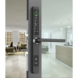 Ağıllı qapı kilidi QL-S617