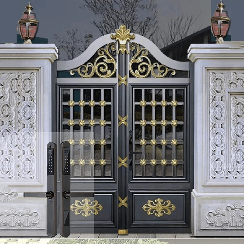 Ağıllı qapı kilidi QL-S611