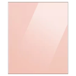 Soyuducu üçün alt panel Samsung BeSpoke RA-B23EBB3KGM