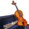Скрипка Amati VG106 1/2
