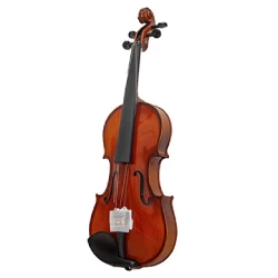 Скрипка Amati VG107 4/4