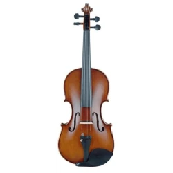 Скрипка Amati VE102BE 4/4