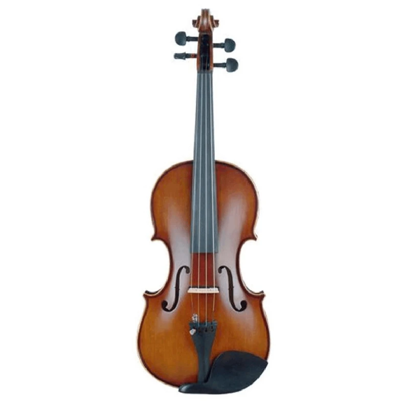 Скрипка Amati VE102BE 4/4
