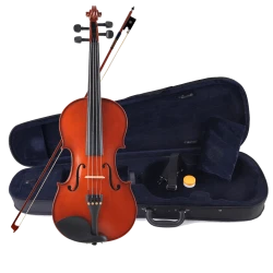 Скрипка Amati LG106-16