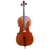 Виолончель Amati CG106 4/4