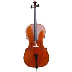 Виолончель Amati CG106 4/4